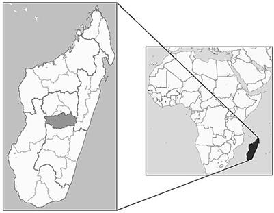 Exploring social indicators in smallholder food systems: modeling children’s educational outcomes on crop-livestock family farms in Madagascar